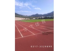 河北優(yōu)良的混合型塑膠跑道供應商，