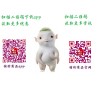 孝感哪里有供應(yīng)價位合理的特價商品平臺男鞋——特價商品平臺男鞋價格如何