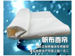 夏天臺(tái)風(fēng)炎熱季節(jié)，豬只養(yǎng)殖通拓推