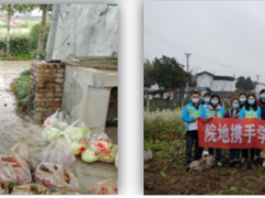 學(xué)習(xí)雷鋒好榜樣，團(tuán)員青年獻(xiàn)愛心