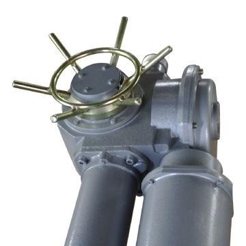 DZW15-24-A00-WK 智能開關(guān)型電動(dòng)裝